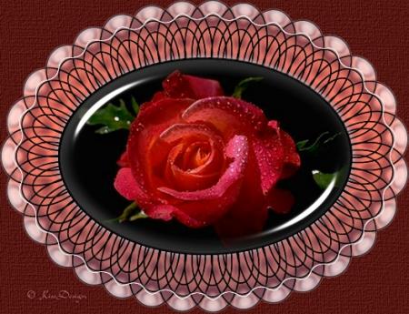 Mon amie la rose